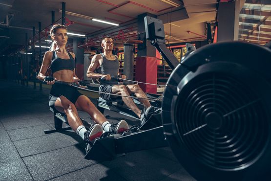 Testosteron Propionat Kurs: Ein Leitfaden für Bodybuilder Testosteron Propionat Kurs: Ein Leitfaden für Bodybuilder